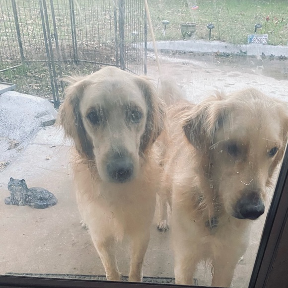 Meet your Posher, Shanna - Picture 3 of 8